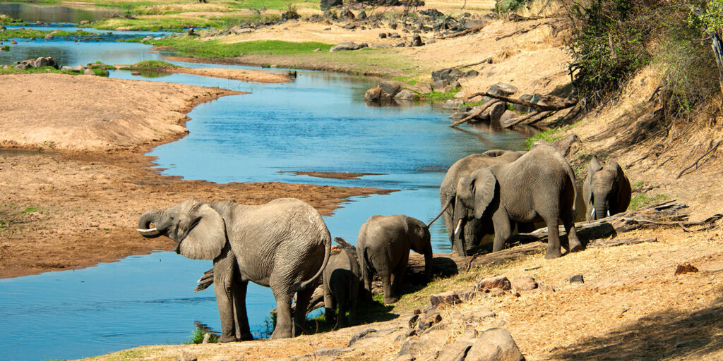 Ruaha-attractions