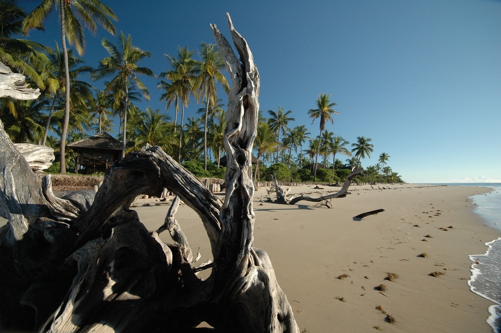 simply-saadani-camp-beach-1024×681-1